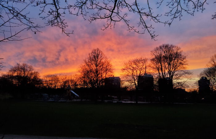 Direkt vor unserer Türe ist der Luitpoldpark.