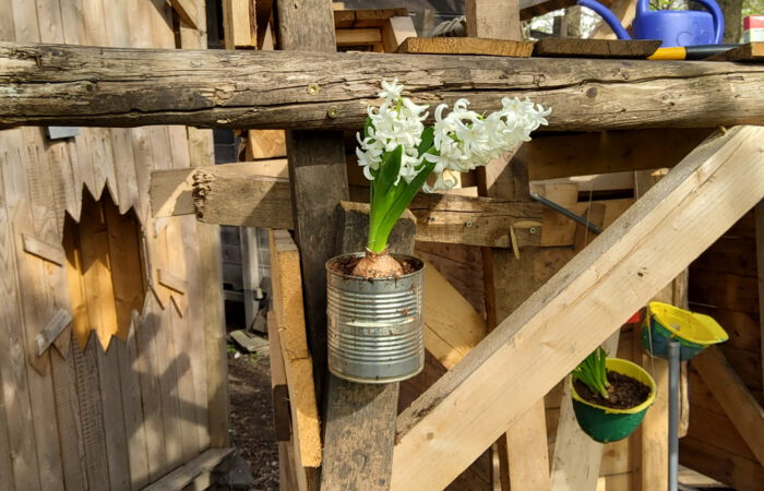 ASP mit Blumenschmuck